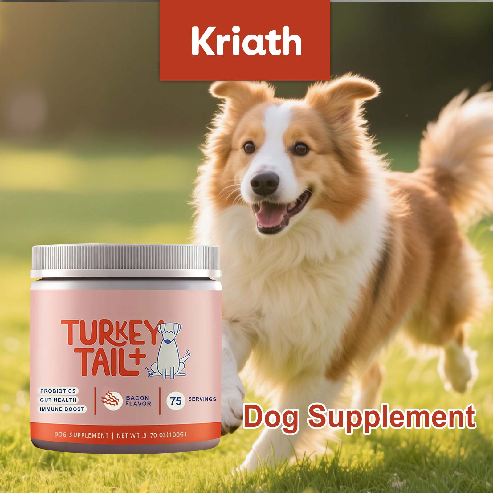 Health Wellness Vitality - Hunde-Probiotika-Pulver zur Unterstützung der Darmgesundheit, Förderung
