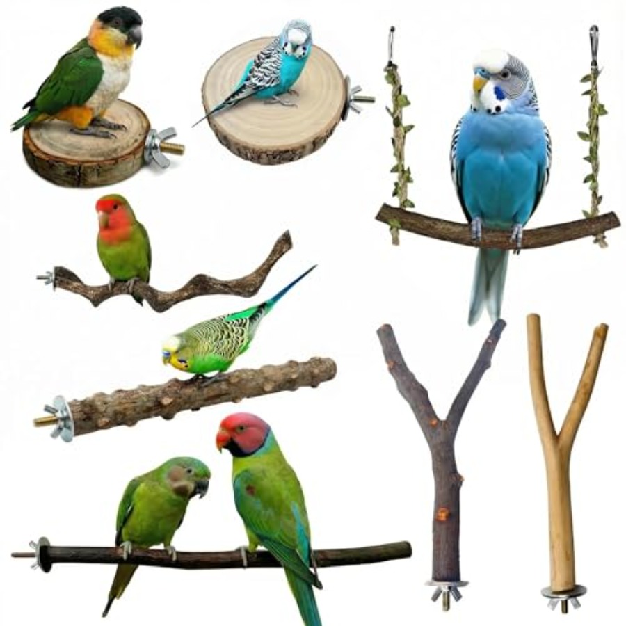 Health & Wellness Newsletter - 8 Stück Vogelsitzstangen aus Naturholz für
