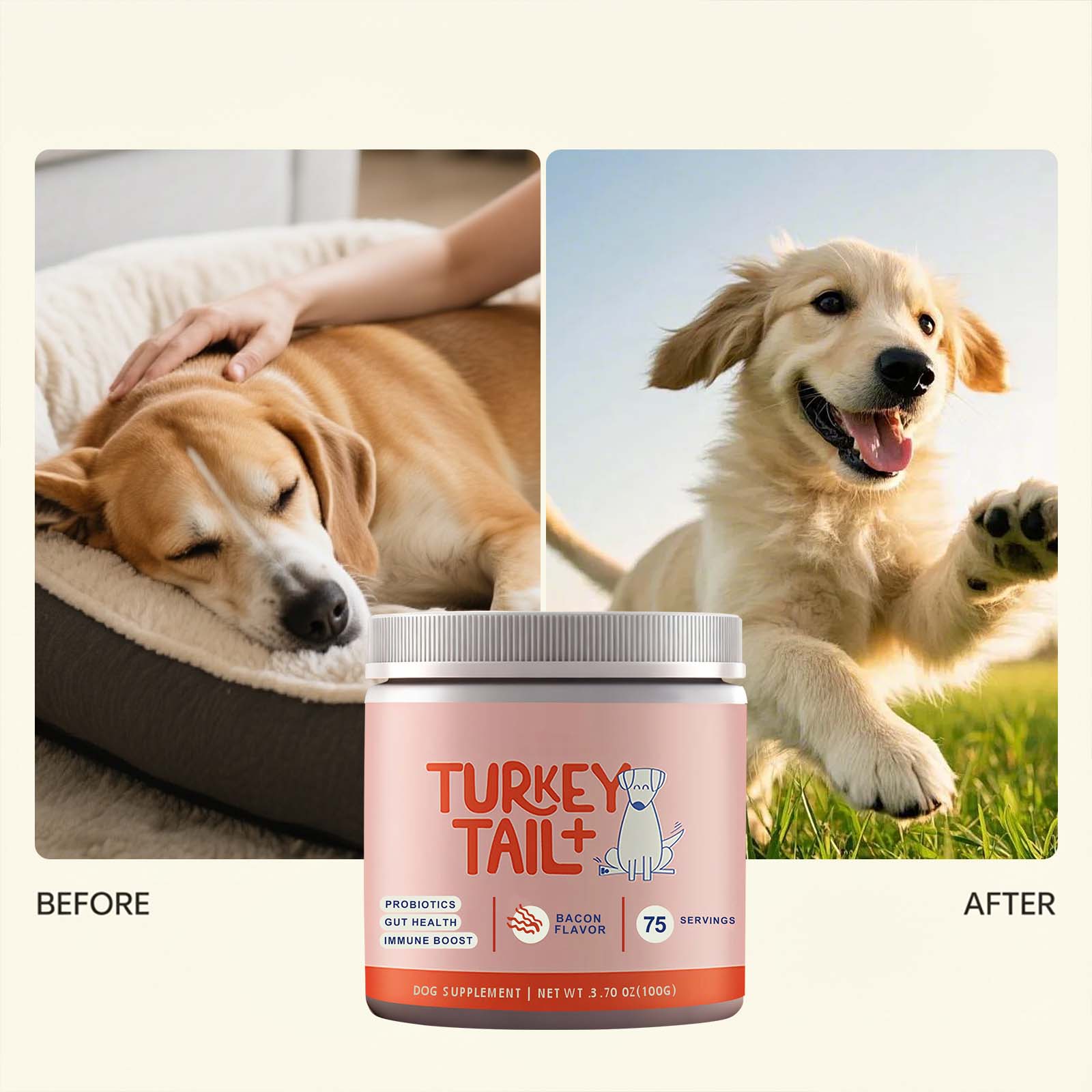 Hunde-Probiotika-Pulver zur Un – Health Wellness Vitality Bewertung und Preis