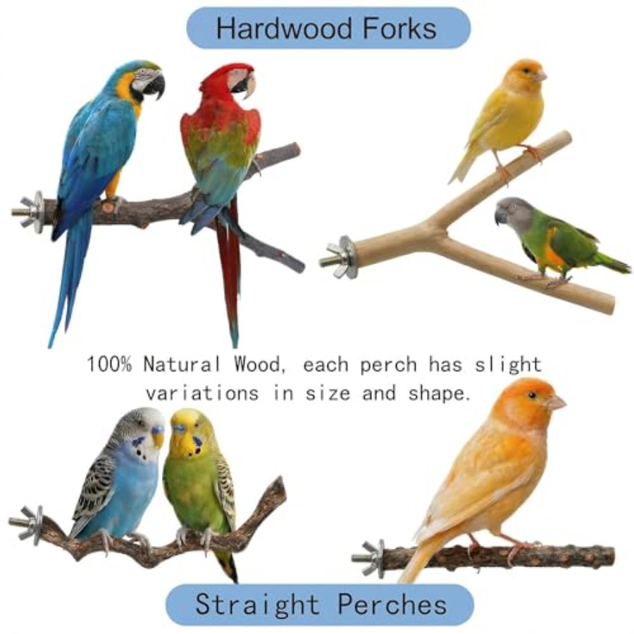 8 Stück Vogelsitzstangen aus N – Health & Wellness Newsletter Bewertung und Preis